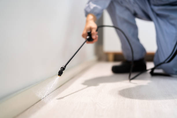 Licensed Pest Control service in Belleair Bluffs, FL - Show Me Pest Control