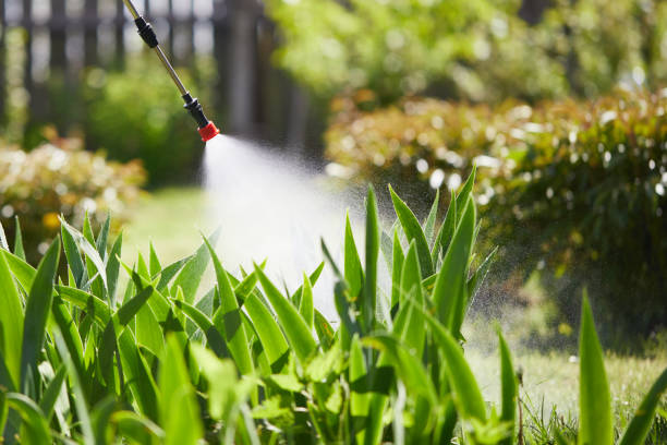Tamper-Resistant Bait Stations for Rodents in Belleair Bluffs
